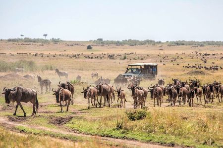 6-Day Private Landcruiser Safari to Masai Mara, Nakuru & Amboseli