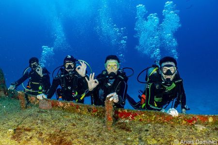 FunDiving in Cozumel - By Ferry - 2 Tanks in the wonderful Caribbean sea