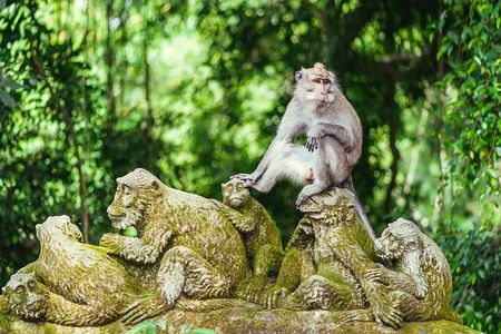 All-Inclusive Ubud Bali Private Full-Day Tour