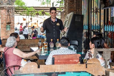 Private Day Adventure Tour in Tequila and visit to the Castle of Tequila