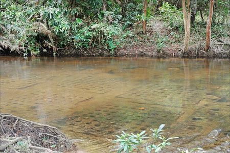 Sacred Phnom Kulen Escape with 1000 Shiva Lingas Experiences