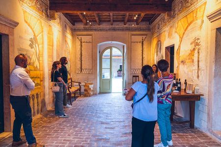 Guided Tour in a Venetian Villa with Valpolicella Wine Tasting