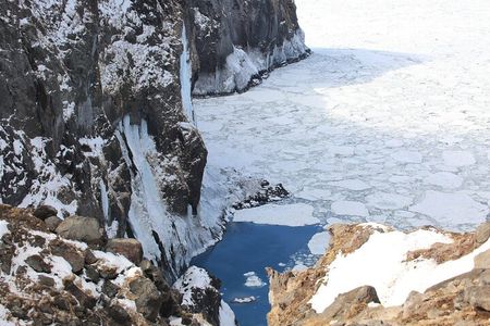 3.5hours Primeval Forest Snowshoe hike and Wildlife Watching Tour