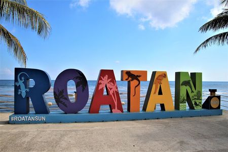 Roatan Excursion: Sloths and monkey hang out /Chocolate & Rum C.