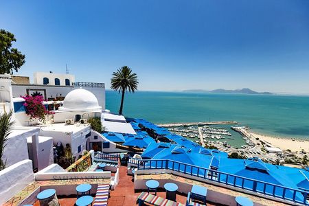 Carthage, Bardo Museum, Sidi Bou Said and Medina Private Day Tour