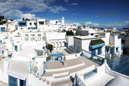 Tunis Group Tour: Carthage, Sidi Bou Said, Bardo museum & Medina
