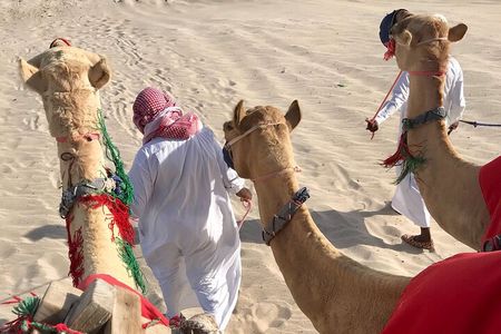 Camel trekking on the Dunes with Sunset