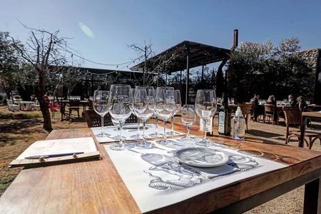 Catena Zapata Winery, Lunch and Private Transportation