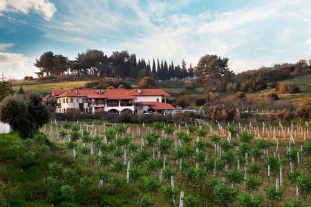  Kusadasi Shore Excursions Ephesus and Wine Tasting Tours 