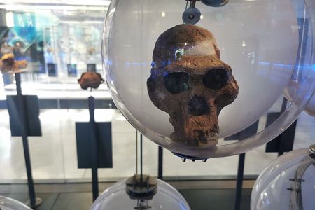 Private Lesedi Cultural Village and Cradle of Humankind Tour