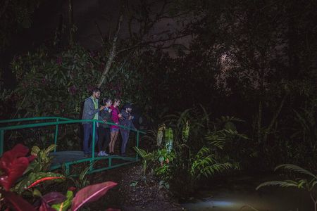Ecogarden Arenal Night Walk 