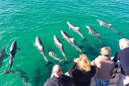 Kangaroo Island 75-Minute Coastal Safari