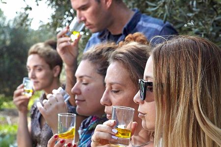 Bio Farm Private Olive Oil Tasting, Farm to Fork Meal & Temple of Poseidon Tour