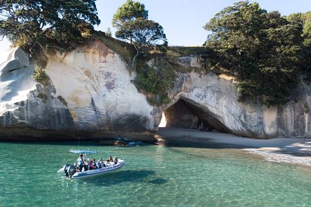 Sea Cave Adventures in Whitianga