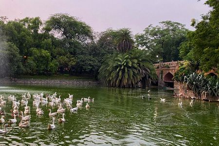 Heritage Delhi Private Walking & Shopping Tour