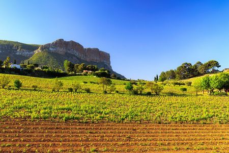 Provence small group half-day wine tour from Aix