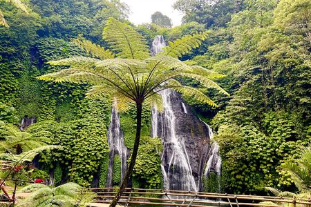 Banyuwana & Banyumala Waterfalls Tour (Private & All-Inclusive )