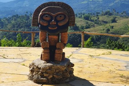 Half-Day Nature Culture Excursion, Tropical Taino Garden Tour