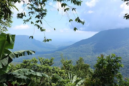 3 Levels of Huatulco the coffee you've been looking for