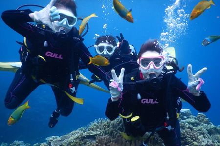 Discover SCUBA Diving 2 DIves 【Minna, Sesoko , Motobu Okinawa】