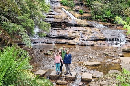 Blue Mountains | Koalas, Kangaroos & Bondi Beach Private Tour