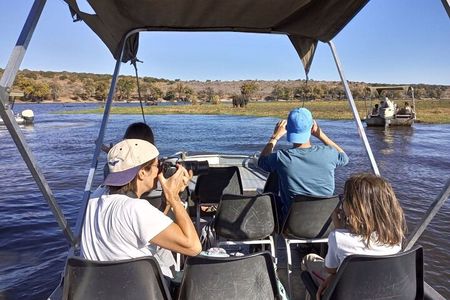 Chobe Full day Safari: Game Drive & Boat Safari with Lunch