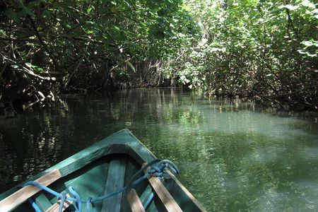 DG Tours - Full-Day Private Tour Experience