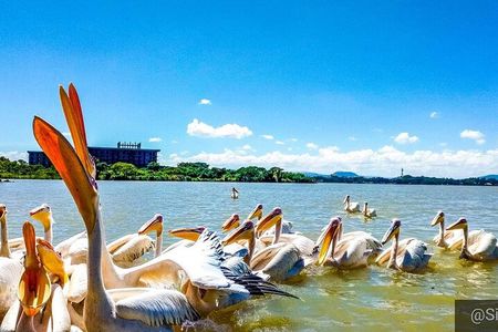 Full day Trip on Lake Tana