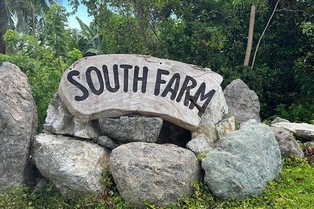 South Farm Tour Panglao in Bohol