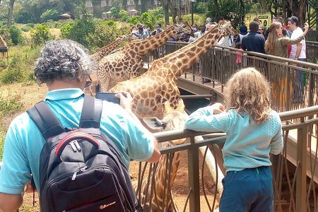 Private Tour in Giraffe Centre and Bomas of Kenya