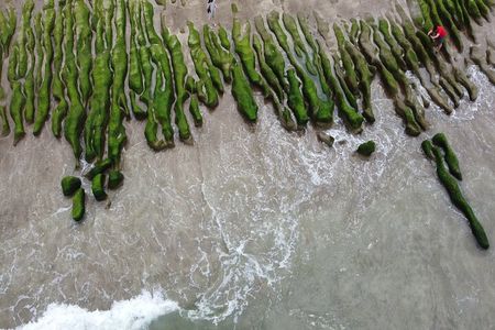 Private Laomei Green Reef Day Tour from Taipei