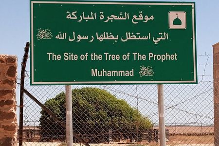 Tree of Al Buqayawiyya and Seven Sleepers Cave Private Tour 
