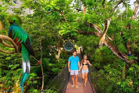 Xcaret Park Plus Tour! Nature, Culture and Nightshow from Cancun
