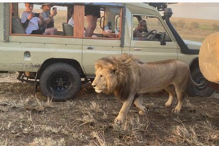 3 Days Masai Mara Jeep Safari 