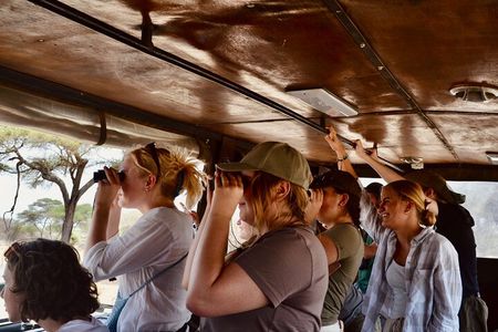 Best Safari and Zanzibar 10-Days Excursions