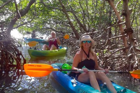 Exclusive Kayak Expedition: Exploring the Mangroves to Shell Key 