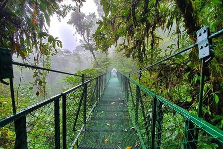 Monteverde Cloud Forest Hanging Bridges Guided Walk