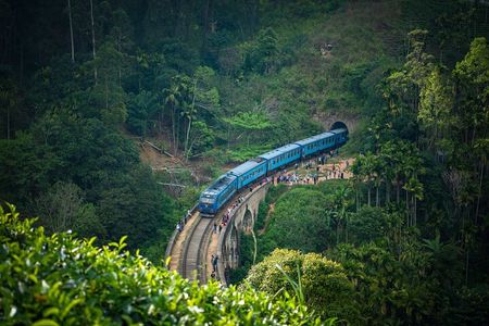 Tailor-made Multi-day Private Tour Packages in Sri Lanka