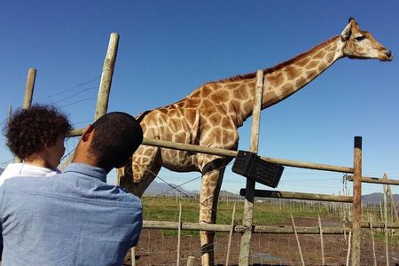 Private Le Cape Animal Farms Full Day Tour