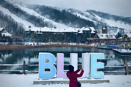 Blue Mountain and Scenic caves of Collingwood