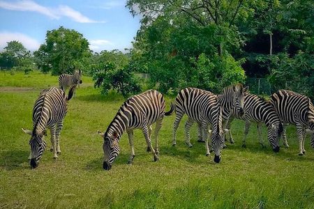 Shai Hills Half Day Accra Safari, Hike & see Animals 
