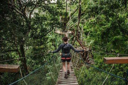 Tambopata National Reserve Tour 4 Days From Cusco