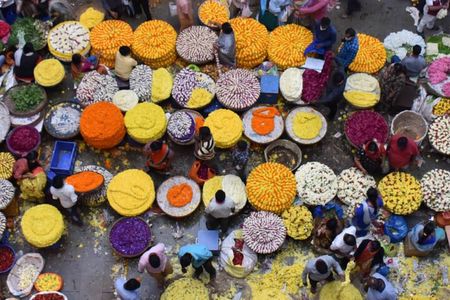 Lalbagh+Bull Temple+Tipu Palace+Market+Lunch=Bangalore City Tour