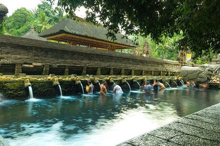 Ubud Monkey Forest, Holy Water Temple & Waterfalls Tours