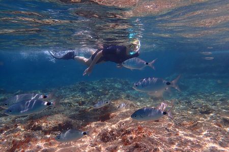 Mallorca: Snorkeling in a Beautiful Nature Reserve