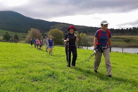 4-Day Private Natal Midlands Falls to Falls Tour
