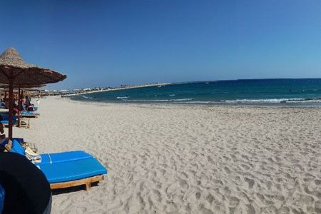 Snorkeling with Turtles - Experience in Abu Dabbab 