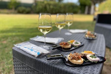Guided E-Bike tour with food and wine tasting.