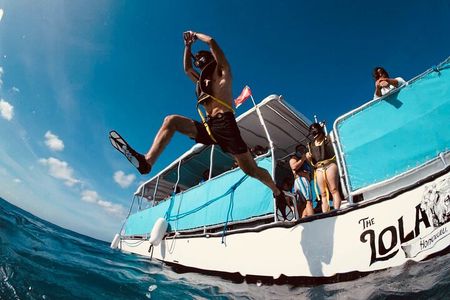 Waikiki Snorkel Tour
