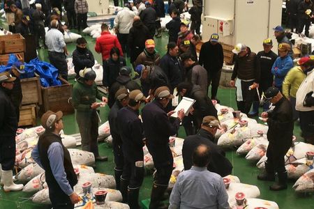 Complete Tuna Auction & Toyosu Fish Market Tour